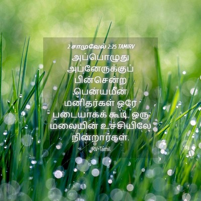 Picture 04 - 2 சாமுவேல் 2:25 TAMIRV - அப்பொழுது - Bible Verse Picture