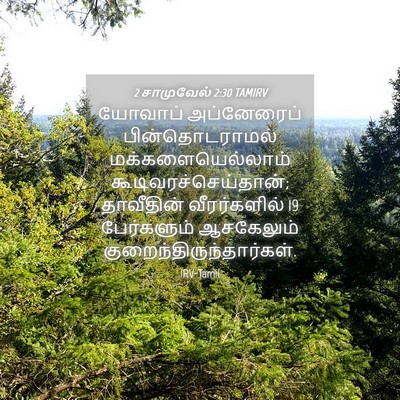 Picture 04 - 2 சாமுவேல் 2:30 TAMIRV - யோவாப் அப்னேரைப் - Bible Verse Picture