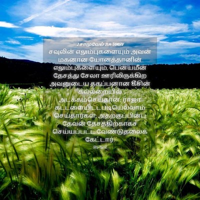 Picture 04 - 2 சாமுவேல் 21:14 TAMIRV - சவுலின் - Bible Verse Picture