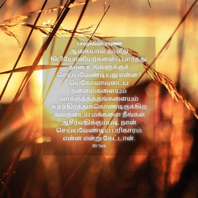 Picture 04 - 2 சாமுவேல் 21:3 TAMIRV - ஆகையால் தாவீது - Bible Verse Picture