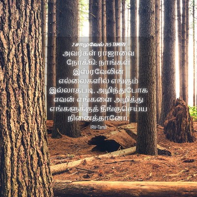 Picture 04 - 2 சாமுவேல் 21:5 TAMIRV - அவர்கள் ராஜாவை - Bible Verse Picture