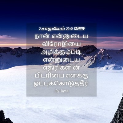 Picture 04 - 2 சாமுவேல் 22:41 TAMIRV - நான் என்னுடைய - Bible Verse Picture