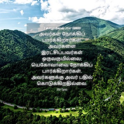 Picture 04 - 2 சாமுவேல் 22:42 TAMIRV - அவர்கள் நோக்கிப் - Bible Verse Picture