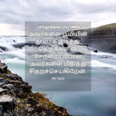 Picture 04 - 2 சாமுவேல் 22:43 TAMIRV - அவர்களை பூமியின் - Bible Verse Picture