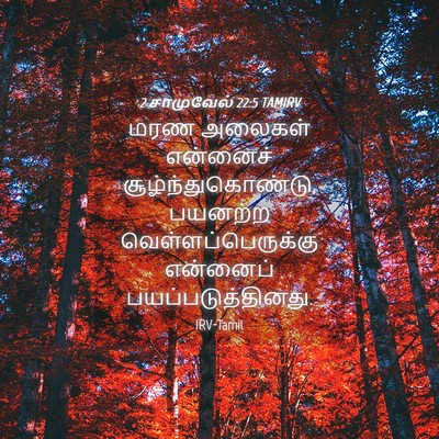 Picture 04 - 2 சாமுவேல் 22:5 TAMIRV - மரண அலைகள் - Bible Verse Picture