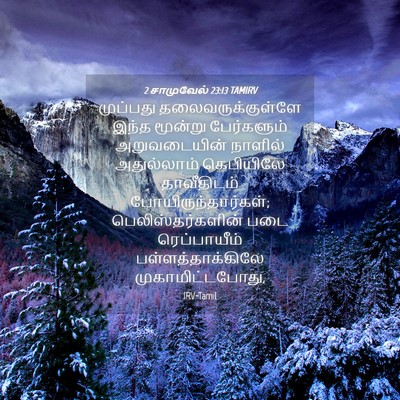 Picture 04 - 2 சாமுவேல் 23:13 TAMIRV - முப்பது - Bible Verse Picture