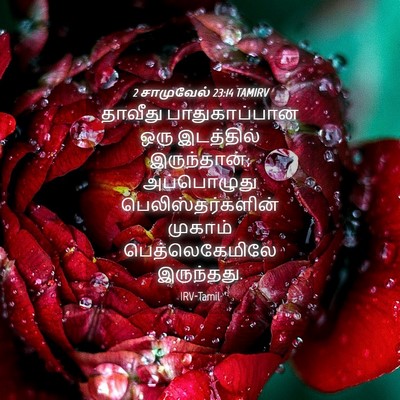 Picture 04 - 2 சாமுவேல் 23:14 TAMIRV - தாவீது - Bible Verse Picture