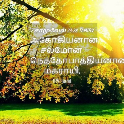 Picture 04 - 2 சாமுவேல் 23:28 TAMIRV - அகோகியனான - Bible Verse Picture
