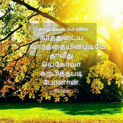 Picture 04 - 2 சாமுவேல் 24:19 TAMIRV - காத்துடைய - Bible Verse Picture