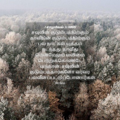 Picture 04 - 2 சாமுவேல் 3:1 TAMIRV - சவுலின் - Bible Verse Picture