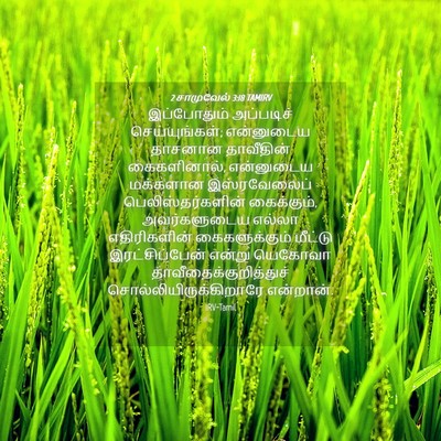 Picture 04 - 2 சாமுவேல் 3:18 TAMIRV - இப்போதும் - Bible Verse Picture