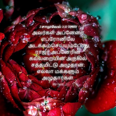 Picture 04 - 2 சாமுவேல் 3:32 TAMIRV - அவர்கள் அப்னேரை - Bible Verse Picture