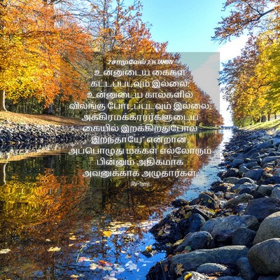 Picture 04 - 2 சாமுவேல் 3:34 TAMIRV - உன்னுடைய கைகள் - Bible Verse Picture