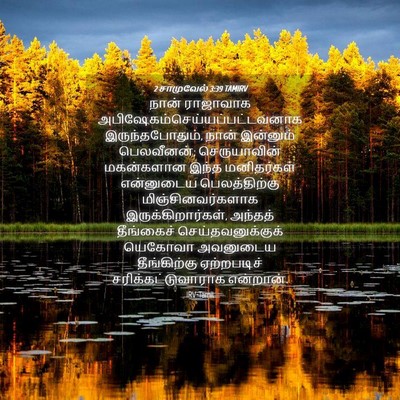 Picture 04 - 2 சாமுவேல் 3:39 TAMIRV - நான் ராஜாவாக - Bible Verse Picture