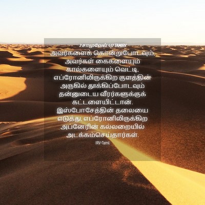 Picture 04 - 2 சாமுவேல் 4:12 TAMIRV - அவர்களைக் - Bible Verse Picture