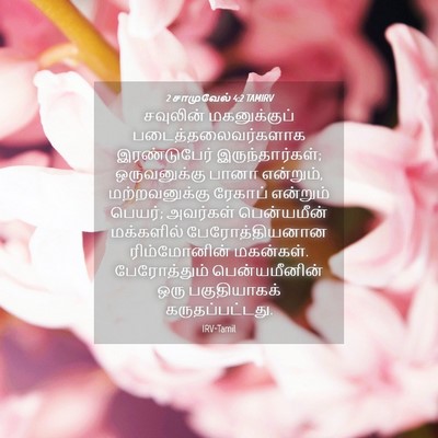 Picture 04 - 2 சாமுவேல் 4:2 TAMIRV - சவுலின் - Bible Verse Picture