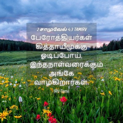 Picture 04 - 2 சாமுவேல் 4:3 TAMIRV - பேரோத்தியர்கள் - Bible Verse Picture