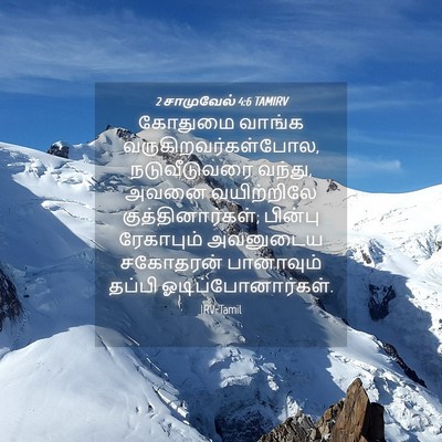 Picture 04 - 2 சாமுவேல் 4:6 TAMIRV - கோதுமை வாங்க - Bible Verse Picture