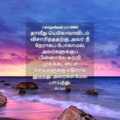 Picture 04 - 2 சாமுவேல் 5:23 TAMIRV - தாவீது - Bible Verse Picture