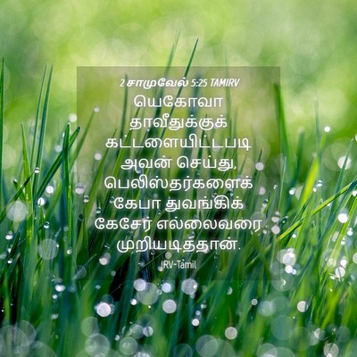 Picture 04 - 2 சாமுவேல் 5:25 TAMIRV - யெகோவா - Bible Verse Picture