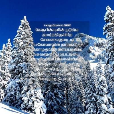 Picture 04 - 2 சாமுவேல் 6:2 TAMIRV - கேருபீன்களின் - Bible Verse Picture