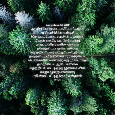 Picture 04 - 2 சாமுவேல் 6:20 TAMIRV - தாவீது தன்னுடைய - Bible Verse Picture