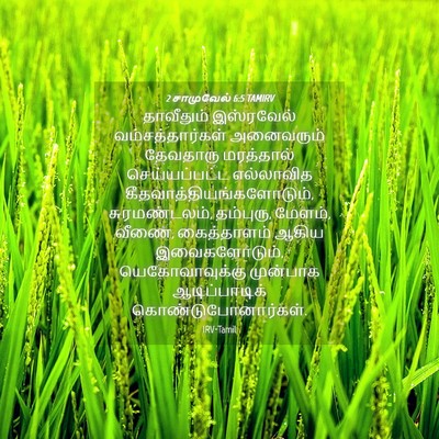 Picture 04 - 2 சாமுவேல் 6:5 TAMIRV - தாவீதும் இஸ்ரவேல் - Bible Verse Picture