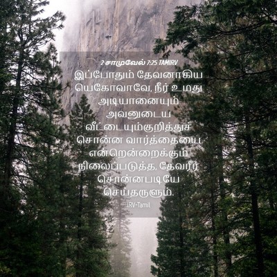 Picture 04 - 2 சாமுவேல் 7:25 TAMIRV - இப்போதும் - Bible Verse Picture