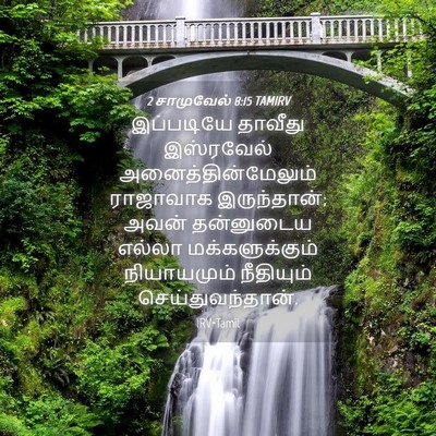 Picture 04 - 2 சாமுவேல் 8:15 TAMIRV - இப்படியே தாவீது - Bible Verse Picture