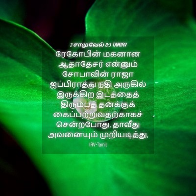 Picture 04 - 2 சாமுவேல் 8:3 TAMIRV - ரேகோபின் மகனான - Bible Verse Picture