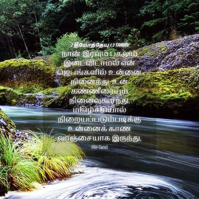Picture 04 - 2 தீமோத்தேயு 1:3 TAMIRV - நான் இரவும் - Bible Verse Picture