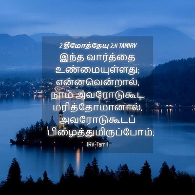 Picture 04 - 2 தீமோத்தேயு 2:11 TAMIRV - இந்த வார்த்தை - Bible Verse Picture