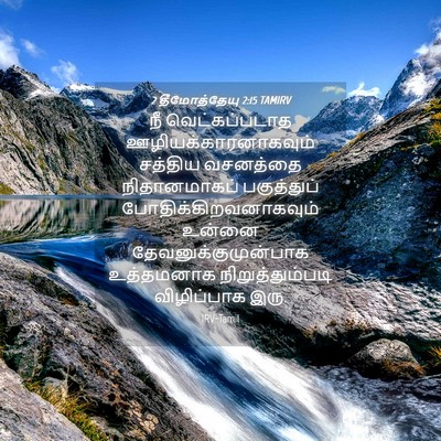 Picture 04 - 2 தீமோத்தேயு 2:15 TAMIRV - நீ வெட்கப்படாத - Bible Verse Picture