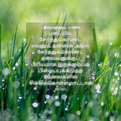 Picture 04 - 2 தீமோத்தேயு 2:4 TAMIRV - படையில் - Bible Verse Picture