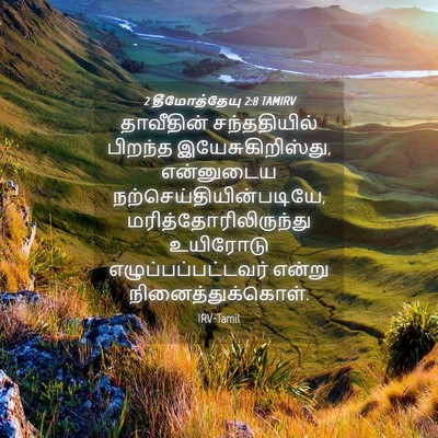 Picture 04 - 2 தீமோத்தேயு 2:8 TAMIRV - தாவீதின் - Bible Verse Picture