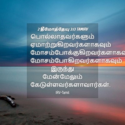 Picture 04 - 2 தீமோத்தேயு 3:13 TAMIRV - பொல்லாதவர்களும் - Bible Verse Picture