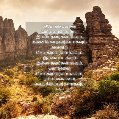 Picture 04 - 2 தீமோத்தேயு 3:3 TAMIRV - மெய்யான அன்பு - Bible Verse Picture