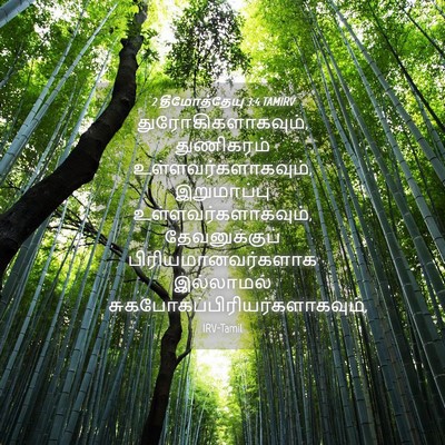 Picture 04 - 2 தீமோத்தேயு 3:4 TAMIRV - துரோகிகளாகவும், - Bible Verse Picture