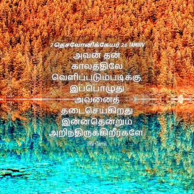 Picture 04 - 2 தெசலோனிக்கேயர் 2:6 TAMIRV - அவன் தன் - Bible Verse Picture