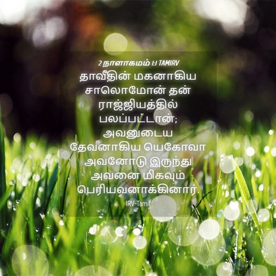 Picture 04 - 2 நாளாகமம் 1:1 TAMIRV - தாவீதின் மகனாகிய - Bible Verse Picture