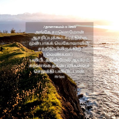 Picture 04 - 2 நாளாகமம் 1:6 TAMIRV - அங்கே சாலொமோன் - Bible Verse Picture
