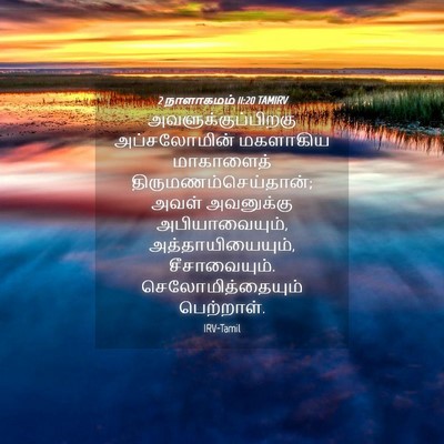 Picture 04 - 2 நாளாகமம் 11:20 TAMIRV - அவளுக்குப்பிறகு - Bible Verse Picture