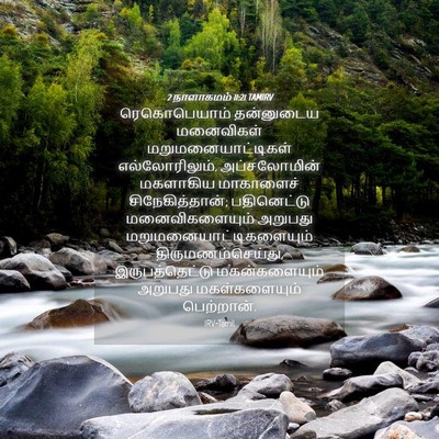 Picture 04 - 2 நாளாகமம் 11:21 TAMIRV - ரெகொபெயாம் - Bible Verse Picture
