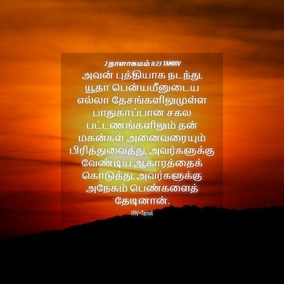 Picture 04 - 2 நாளாகமம் 11:23 TAMIRV - அவன் புத்தியாக - Bible Verse Picture