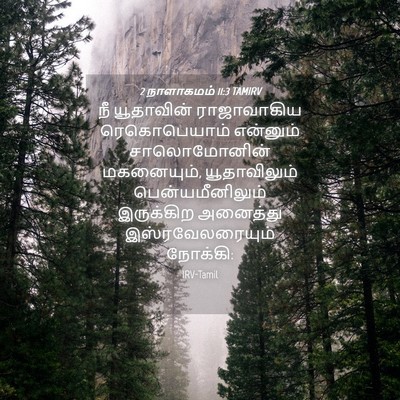 Picture 04 - 2 நாளாகமம் 11:3 TAMIRV - நீ யூதாவின் - Bible Verse Picture