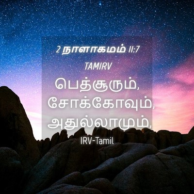 Picture 04 - 2 நாளாகமம் 11:7 TAMIRV - பெத்சூரும், - Bible Verse Picture
