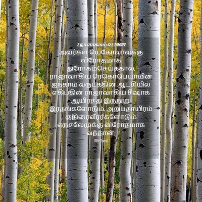 Picture 04 - 2 நாளாகமம் 12:2 TAMIRV - அவர்கள் - Bible Verse Picture