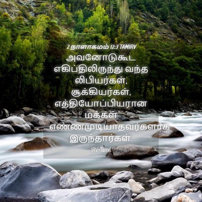 Picture 04 - 2 நாளாகமம் 12:3 TAMIRV - அவனோடுகூட - Bible Verse Picture