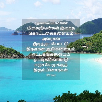 Picture 04 - 2 நாளாகமம் 14:15 TAMIRV - மிருகஜீவன்கள் - Bible Verse Picture