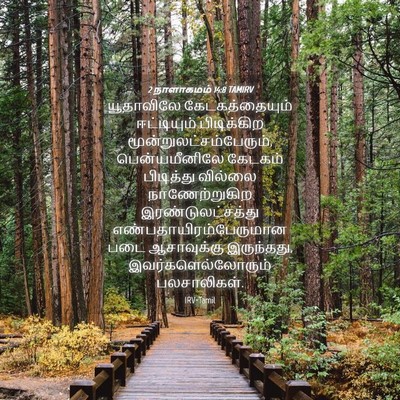 Picture 04 - 2 நாளாகமம் 14:8 TAMIRV - யூதாவிலே - Bible Verse Picture